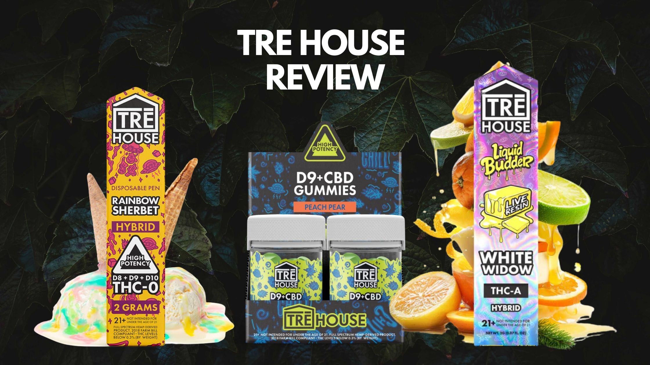 Tre House Review: Everything You Need to Know Before Buying