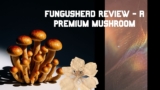 Exploring Fungushead: Premium Mushroom Spores and Cultures