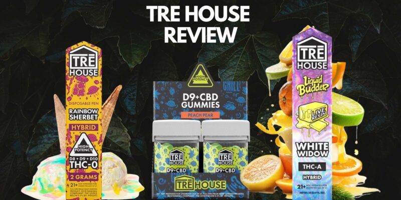 Tre House Review: Everything You Need to Know Before Buying