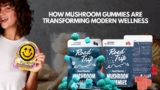 Microdosing Made Simple: Why Mushroom Gummies Are Changing the Way People Explore Wellness