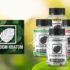 oHHo Review: A Complete Guide to the CBD and Hemp Wellness Brand